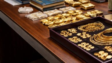 Crores in assets found during Vigilance raids on Odisha engineer