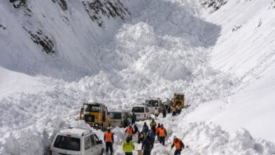 Snow avalanche traps vehicles on Ladakh side of Zojila Pass; no casualties reported