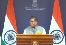 India in touch with concerned countries for safe transit of ships through Strait of Hormuz: MEA
