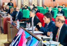 Piyush Goyal calls for consensus-based decision making at WTO meet (Lead)