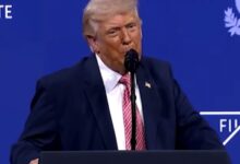 Trump calls NATO ‘paper tiger’, questions allies