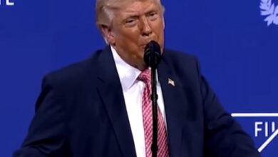 Trump calls NATO ‘paper tiger’, questions allies