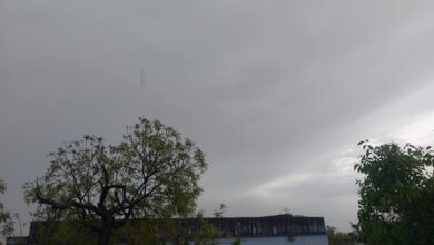 Rain, hailstorm alert across Rajasthan as fresh weather system turns active Rain, hailstorm alert across Rajasthan as fresh weather system turns active