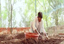 Gujarat institution turns self-reliant with biogas, cooks 500 meals daily