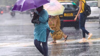 New spell of thunderstorms and hail forecast in Maharashtra from March 30 to April 4