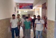 Delhi Police bust interstate ganja supply network, Odisha-based supplier arrested