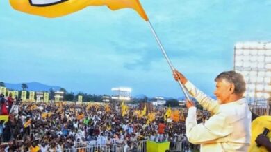 TDP a true reflection of aspirations of Telugus, says CM Chandrababu Naidu