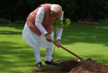 Mass participation driving change: PM Modi on plantation record, seed conservation efforts