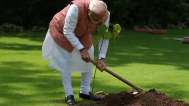 Mass participation driving change: PM Modi on plantation record, seed conservation efforts