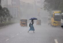 Rain in parts of TN, temperature likely to dip: Weather department