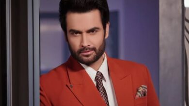 ‘Bigg Boss’ fame Vivian Dsena embraces fatherhood for second time, welcomes baby boy