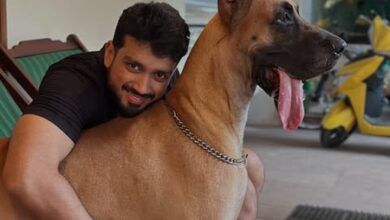 Kalidas Jayaram pens heart-touching tribute to his late pet Kalidas Jayaram pens heart-touching tribute to his late pet
