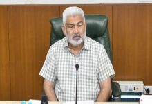 Prevent wheat arrival from neighbouring states for selling, says Punjab minister