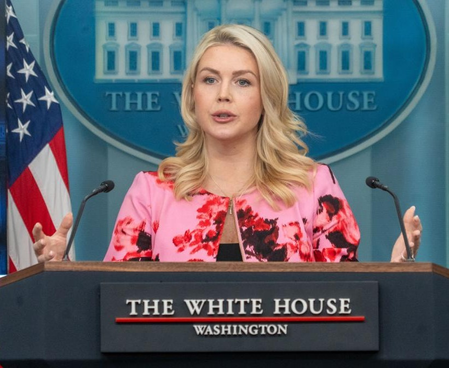 Trump ‘interested’ in asking Arab countries to help pay for US-Israeli war with Iran: White House Trump ‘interested’ in asking Arab countries to help pay for US-Israeli war with Iran: White House