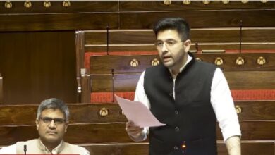 AAP MP Chadha pitches legal right to paternity leave in Rajya Sabha
