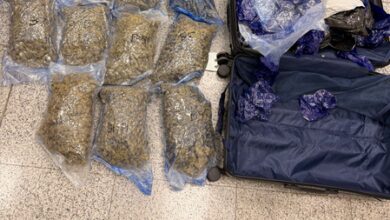 Hydroponic weeds worth Rs 8.9 crore seized at Hyderabad Airport