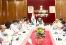 Services for eliminating sickle cell anaemia and TB should be prioritised: MP Guv