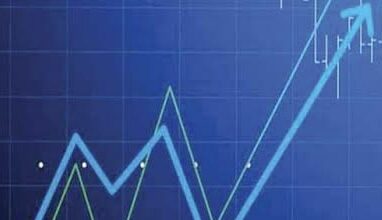 Nifty Next 50 leads gains in February, midcaps top charts annually: Report