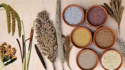 Rs 793 crore approved under PLI for millet processing, 4,612 micro units supported: Govt