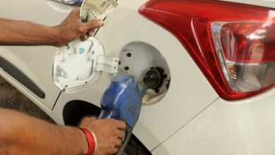 No price hike on regular petrol, all efforts underway to secure LPG supplies: Govt