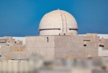 Dhaka expert sounds note of caution on Bangladesh’s nuclear power plant: Report