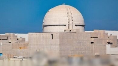 Dhaka expert sounds note of caution on Bangladesh’s nuclear power plant: Report