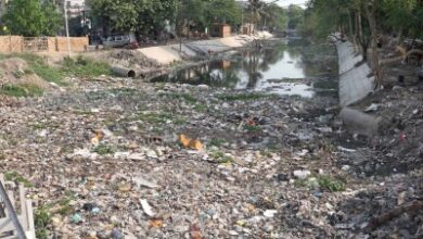 Farmers plan mass candidature in Tiruppur to protest garbage contamination