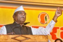 Raj Guv flags concern over abandoned stray bulls; calls for collective action