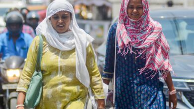 Heat to persist in Tamil Nadu, rain likely in parts of state: IMD warning