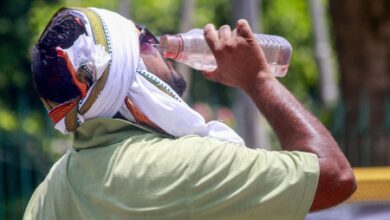 Severe heatwave grips North India; IMD issues alert