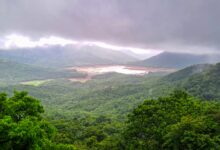 Heat, humidity to cause discomfort in coastal TN, light rain likely in Western Ghats