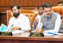 Maha Cabinet approves new dept for electronics, IT, AI and listing of Mahavitaran