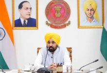 Punjab to have centre of excellence for basmati ​