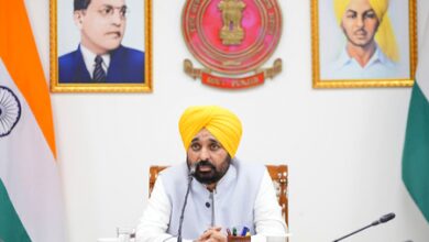 Punjab to have centre of excellence for basmati ​