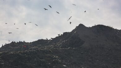 NGT directs MCD to submit time-bound plan for Ghazipur landfill