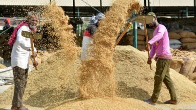 Govt finalises 70‑year lease for Basmati organic farming training centre in UP