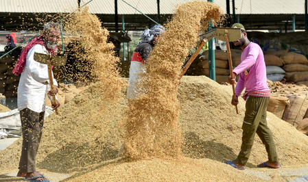 Govt finalises 70‑year lease for Basmati organic farming training centre in UP