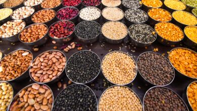 Centre boosts MSP procurement in Chhattisgarh, launches structured pulse procurement in Bihar