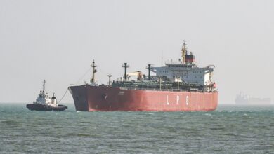 17 Indian-flagged vessels remain in western Persian Gulf: Centre