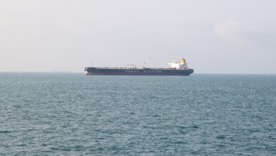First LNG tanker crosses Hormuz chokepoint after weeks of disruption: Report