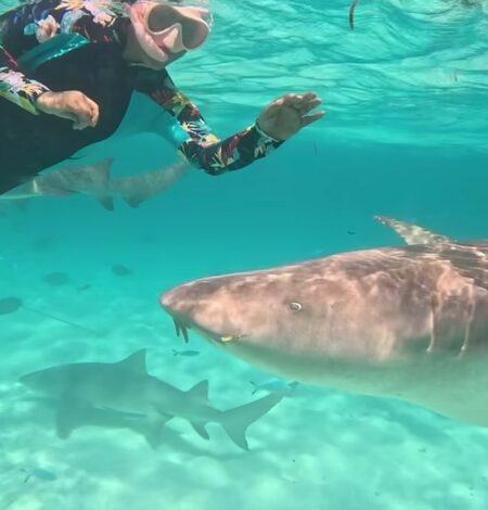 Hina Khan swims with sharks in the Maldivian sea