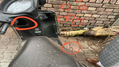 Low-intensity blast outside BJP office in Chandigarh; probe underway