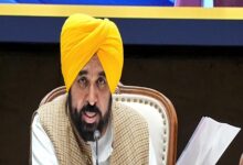 Punjab begins first caste socio-economic survey; CM Mann highlights rural development push