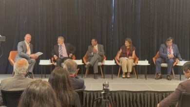 India deeptech push needs capital, clients: Indian American CEOs