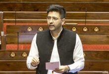 AAP names Ashok Mittal as party’s new deputy leader in Rajya Sabha, Raghav Chadha dropped