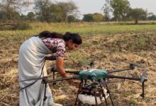 AgriTech could unlock  bn across Southeast Asia with India leading gains