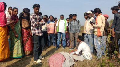 Three killed as elephant herd runs amok in Jharkhand’s Ramgarh