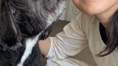 Shraddha Kapoor celebrates pet Shyloh’s 15th birthday, treats him with a special cake