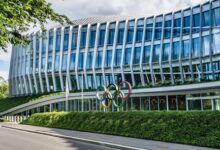 UN expert welcomes IOC’s policy to bar transgender athletes from female events