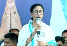 Bengal will be divided through Assembly seats rearrangement if BJP comes to power: CM Mamata